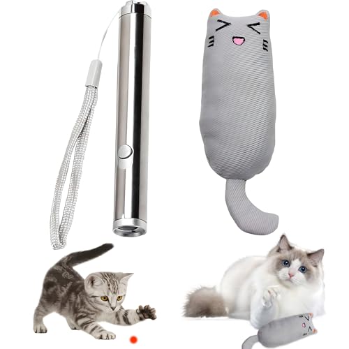 Jyeennar 1 Pack 2 in 1 LED Pointer Cat Toys,Funny Cat Catnip