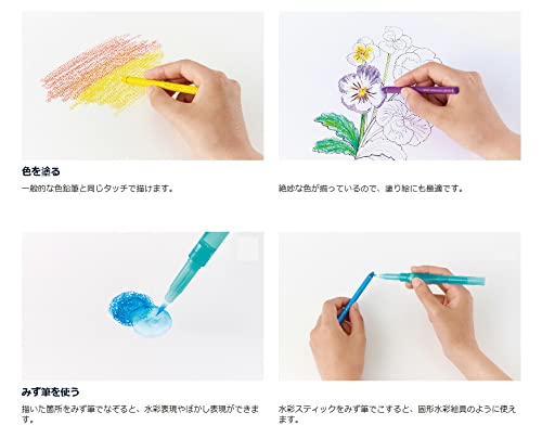 Amazon | ぺんてる ヴィスタージュ 水彩色鉛筆 水彩スティック
