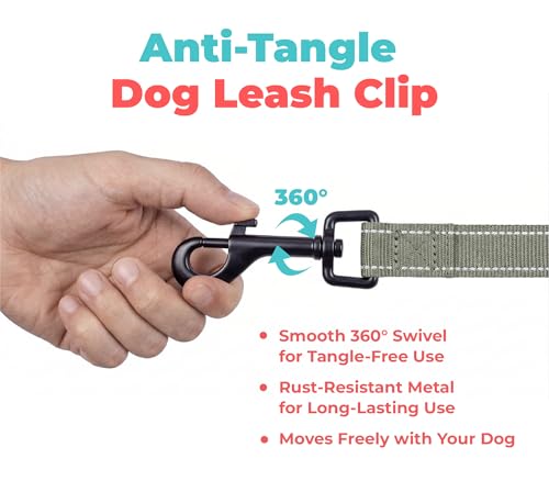 Image of Best Pet Supplies Voyager Reflective Dog Leash or Collar with Neoprene Handle, for Small, Medium, and Large Breed Puppies, Cute and Heavy Duty for Walking, Running and Training - Moss Green (Leash), M