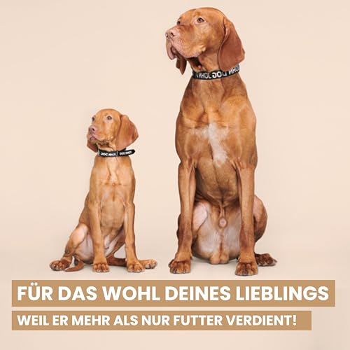 John Dog Premium Hundefutter Nass mit Rentier 400g - Monoprotein Nassfutter für Hunde - Glutenfreies Hundenassfutter mit 98,5% Fleischanteil - Hypoallergenes Futter - Four Seasons