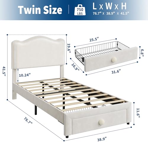 GarveeHome Upholstered Twin Bed Frame with Storage Drawer & Scallop Headboard, Princess Twin Size Platform Bed Frames for Kids Girls, Wooden Slats Support, No Box Spring Needed, Beige