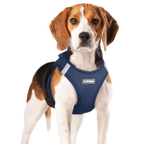 rabbitgoo Dog Harness Small Dog, Step-in...