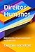 Direitos Humanos: Responsabilidade, Julgamento e o Pensamento de Hannah Arendt (Portuguese Edition)