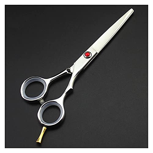 Ciseaux de coiffure amincissants de 5,5 pouces en ensemble complet pour salon