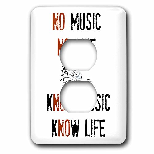 Plaque double prise musique pour remplacer un cache mural terne - 2