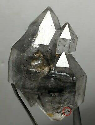 37.6g Natural Have Moving Quicksand Enhydro Quartz Crystal Point Specimen"105