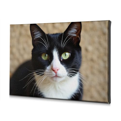 Tableau chat noir et blanc yeux verts sur toile premium de salon 40x60 cm