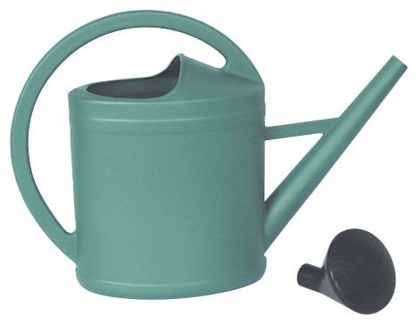 Générique - Arrosoir avec pomme d'arrosage demontable - Capacité L.11 - Réf .330801 -