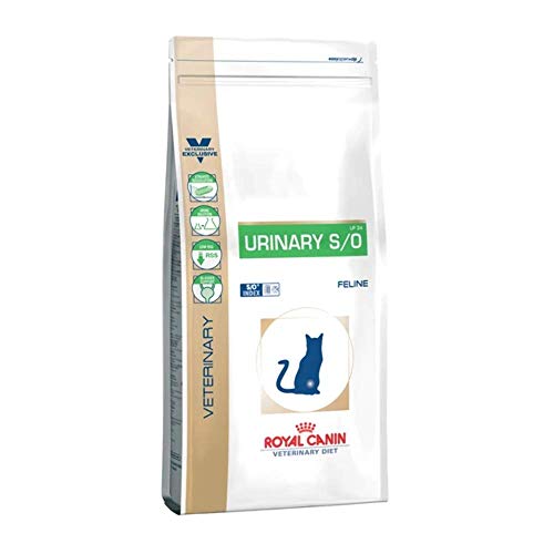 ROYAL CANIN Urinary S/O Nourriture pour Chat 1,5 kg