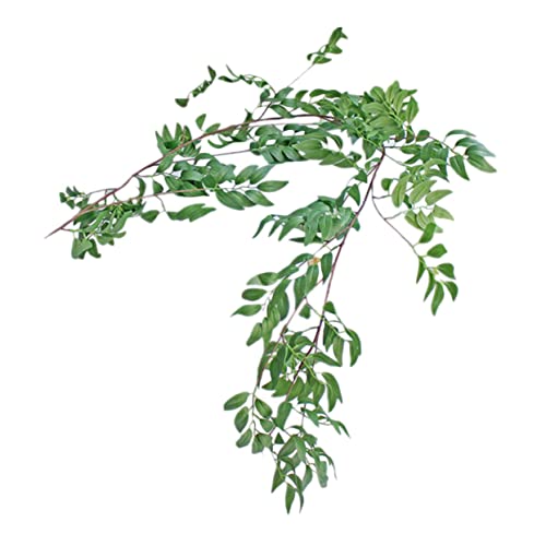 OUNONA 1�� �X�g�����O �V�~�����[�V�������� �u�h�E�̖� ���[�J���̉ԗ� �A�� �n���M���O���C�g �d�� ���[�v ���z �\�[���[�l�b�g���C�g �كi�C�g�X�^���h �l�H �v���X�`�b�N Green