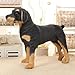 Imagen de champracer Perro de peluche de peluche de Rottweiler realista perro de peluche perro de peluche de pie negro juguete de peluche regalo para niños y niñas