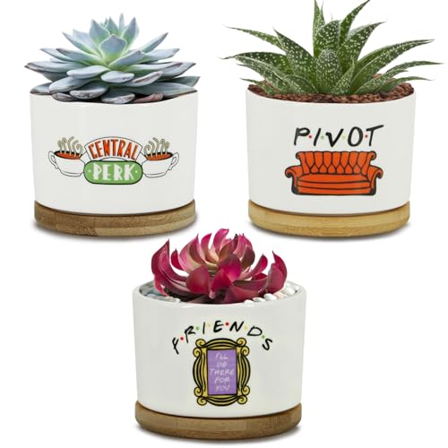 KONROOWEI 3 Pcs Friends tv Show Cute Merchandise Ceramic Plant Pots,Funny Friends Decor Themed Gifts...