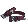 Made to ROAM Premium Dog Collar - Adjustable Heavy Duty Nylon Collar with Quick-Release Metal Buckle (Vermont Weekends, Classic Size 3) #1