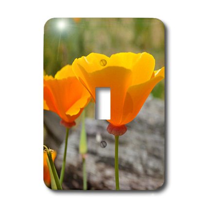 Interrupteur coquelicots orange deco interieure plaque de commutation 3dRose - 3