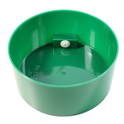 Coffeevac 1 Lb - The Ultimate Vacuum Sealed Coffee Container, Green Cap Cap & Clear Body #TOP2