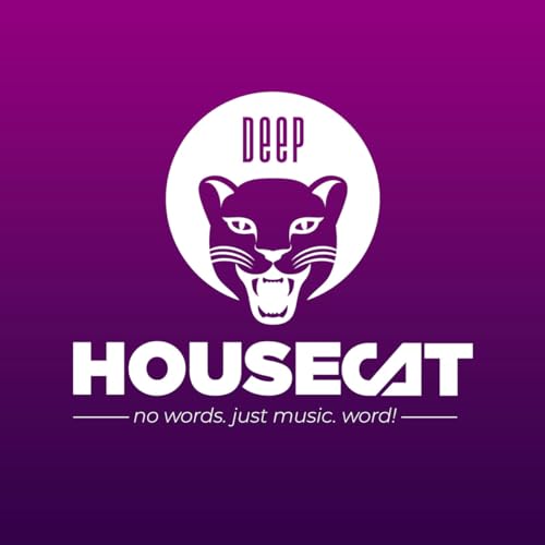 Deep House Cat Podcast Por Alex B. Groove arte de portada