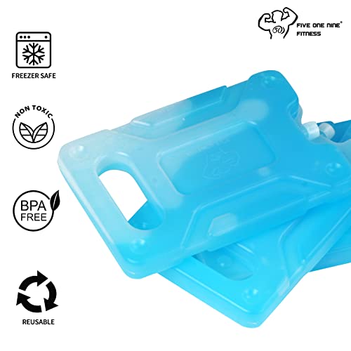 50 Five One Nine Reusable Ice Pack For Cooler – 519 Fitness Long Lasting Slim Freezer Pack For Insulated Lunch Box, Bags, Camping, Beach, Fishing, Picnic And More (2 Pack) #TOP3