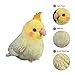 Nohito Realistic Yellow Cockatiel Parrot Bird Plush Toy Stuffed Animal Simulation Fake Bird Cockatoo Stuffed Animals Cute Little Bird Plushie Doll Gifts for Kids 4.9'' (Yellow, M)