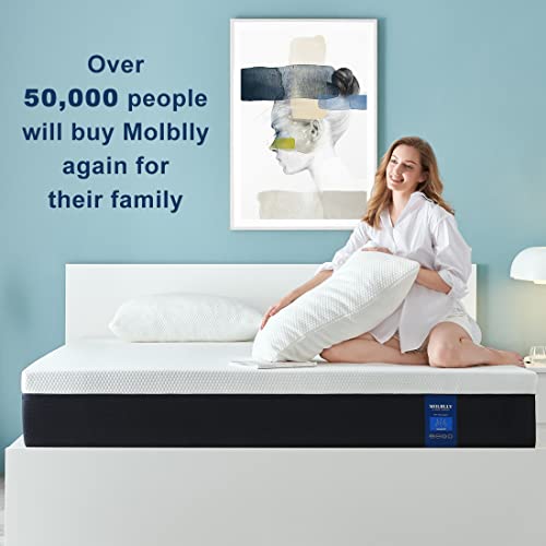 https://m.media-amazon.com/images/I/41ZERPyKgBL._SL500_.jpg