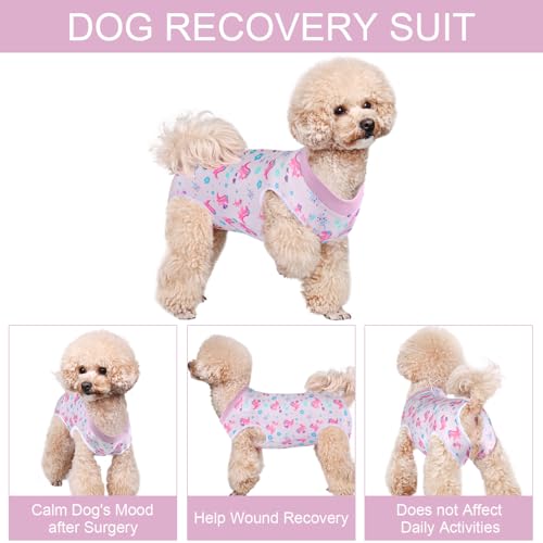 Image of Dog Surgery Suit Female Spay Recovery Suit for Dogs Surgical Recovery Suit for Female Dog Neuter Recovery Suit Male Dogs Onesie for Surgery Fits Small Medium Purple Dinosaurs /L