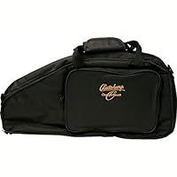 Algopix Similar Product 20 - Oscar Schmidt AC445 Autoharp Gig Bag