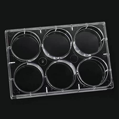 The 30 Best Lab Cell Culture Microplates of 2024 [Verified] Cherry Picks