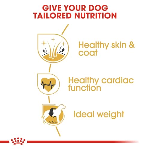 Royal Canin 35250 Breed Golden Retriever 3 kg - Hundefutter