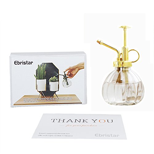 Plant Mister, 6.5" Tall Decorative Glass Water Spray Bottle With Gold Top Pump Small Watering Can By Ebristar - Clear #TOP6