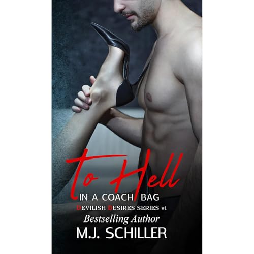 TO HELL IN A COACH BAG Audiolibro Por M.J. Schiller arte de portada