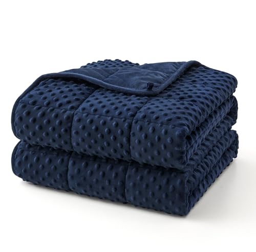 Topcee Weighted Blanket for Adults (20lbs 60"x80"), Minky Dots Heavy Blanket for Woman, Man Sleeping, Soft, Cozy and Cooling Weighted Throw Blankets, Machine Washable, Blue