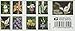 Wild Orchids Book of 20 Forever Postage Stamps Scott 5444