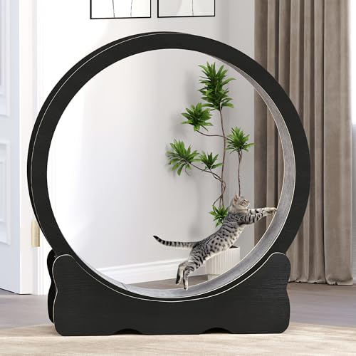 110cm Katzenlaufrad,DWVO Laufrad für Katzen mit Abnehmbaren Teppichboden Katzen Laufrad mit Schloss zur Gewichtsabnahme und Gesundheitsförderung bei...