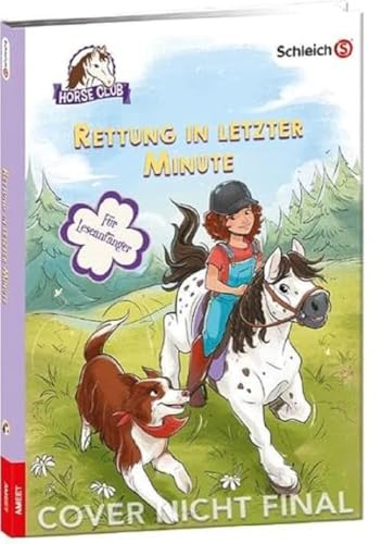 Preisvergleich Produktbild schleich® Horse Club Rettung in letzter Minute
