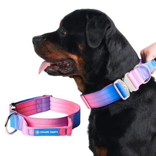 Spark Paws Taktisches Hundehalsband – Robuste, Premium-Qualität, Dick und Langlebig für Große und Mittelgroße Hunde M: 23-39kg [3.8cm]