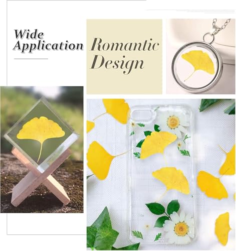 Hojas secas de Ginkgo amarillo para manualidades, 42 pcs miniatura 4