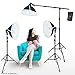 LINCO Lincostore Photography Studio Lighting Kit Arm for Video Continuous Lighting Shadow Boom Box Lights Set Headlight Softbox Setup with Daylight Bulbs 2400 Lumens AM261