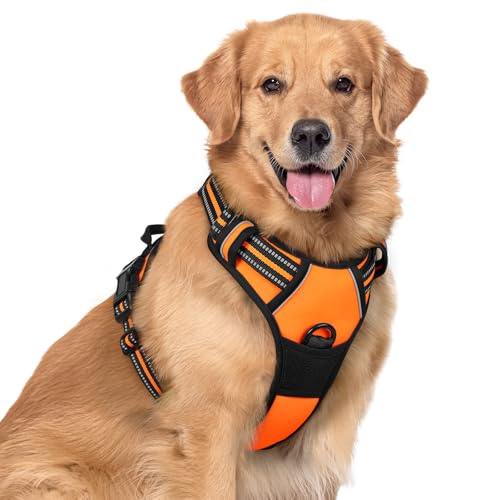 rabbitgoo Hundegeschirr Mittelgroße Hunde, Anti Zug Geschirr mit Kontrolle, No Pull Verstellbar Hundegeschirr Grosse Hunde, Atmungsaktiv Reflexstreifen Brustgeschirr Sichere Führung Orange XL