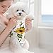 Sunflower Floral Recovery Suit for Dogs Cats Dog Recovery Suit Fit Female and Male Spay Pets Pet Surgery Suit