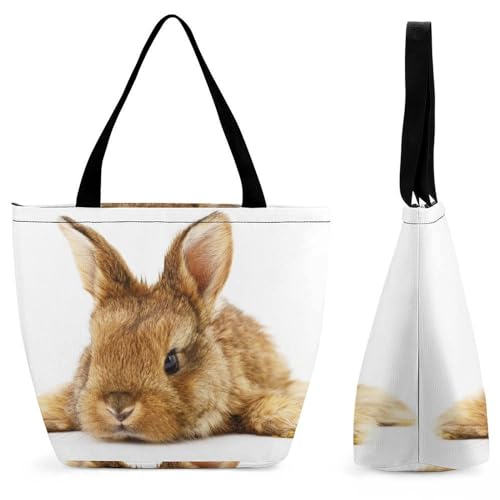 Sac à main pour femme grand volume lapin brun contre le désordre
