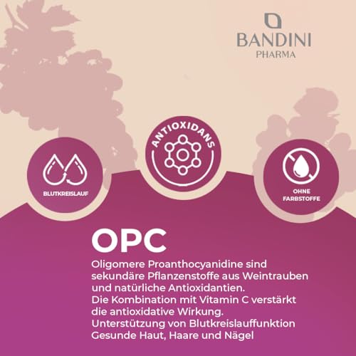Bandini® OPC Traubenkernextrakt 200 Kapseln für 3 Monate | Hochdosiert mit 95% OPC je Kapsel | Höchster Gehalt nach HPLC | Aus italienischen Weintrauben | 1052mg Extrakt mit 999,4mg + 24mg Vitamin C