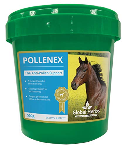 Global Herbs Pollenex Equine Seasonal Allergy & Pollen Comfort Support Powder 500g