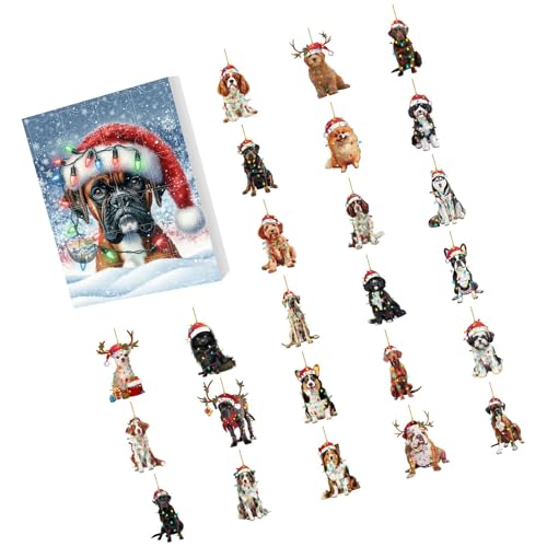 Lcpucc ���p�J�����_�[ 24���Ԃ̃J�E���g�_�E�� �N���X�}�X���̃I�[�i�����g�t�� �z���f�[�f�R���[�V������M�t�g��