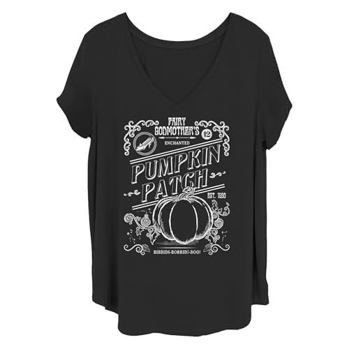 T-shirt Princesses Disney manches courtes col rond vêtement mode grande taille