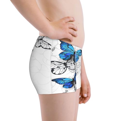 Boys' Cotton Boxer Brief Soft Underwear-Blue Flying Butterflies2