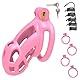BDSMYOU Keuschheitskäfig Herren Peniskäfig Set,mit 4 Größen Hodenringe Cockringe,3D Harz Chastity Cage Male,Keuschheitsgürtel für Herren,Abstinenz Keuschheit BDSMs Spielzeug Hart (Rosa,L)