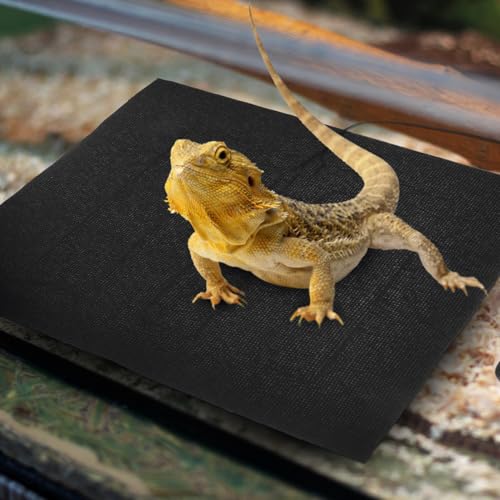 Alfombrilla térmica USB para reptiles y pequeños animales miniatura 5