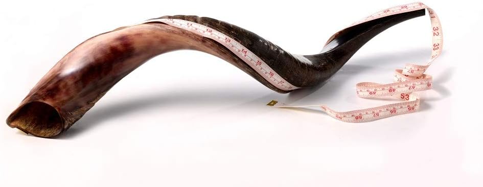 Authentic Kudu Shofar Horn Set by Yaliland | Yemenite Style Half Polished, Half Natural | Includes Velvet Bag, Cleaning Spray, Guide & Carrying Box (26-28 Inch)