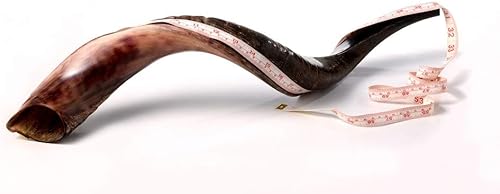 Miniatura 3 de Shofar Shofar de cuerno kudu yemenita con spray antiolor gratis, guía Shofar de Israel (28-30 pulgadas, medio pulido, mitad natural)