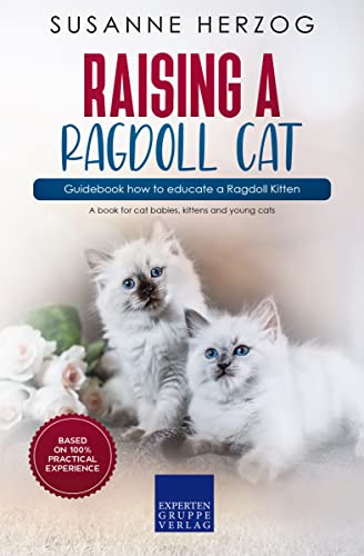 Raising a Ragdoll Cat – Guidebook how to educate a Ragdoll Kitten: A book for cat babies, kittens and young cats