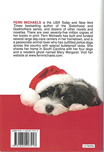 Secret Santa 1624907911 Book Cover